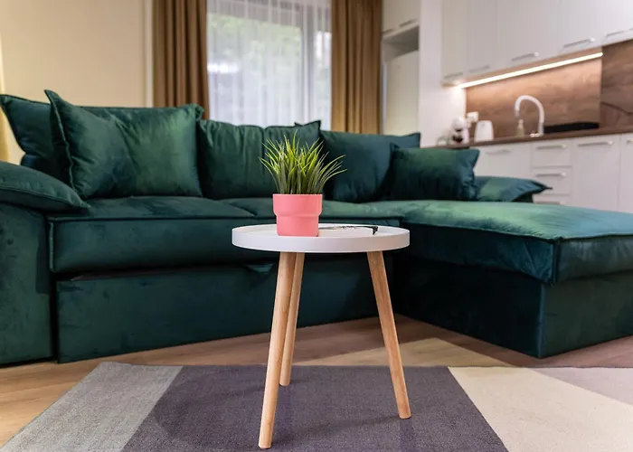 Bunardjik Hill 1-bed 公寓 普罗夫迪夫